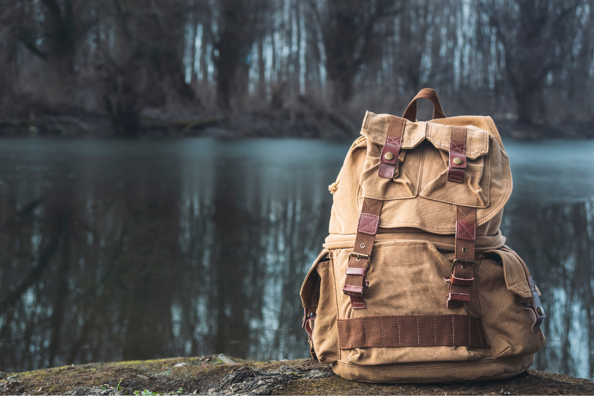 Why You Should Choose Backpacks as Your Niche for Successful Dropshipping